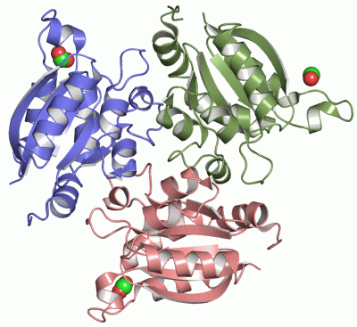 Image Asym./Biol. Unit - manually