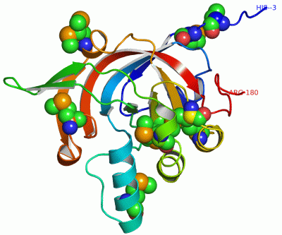 Image Asym./Biol. Unit - manually