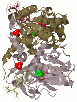 Image Biol.Unit 1 - manually