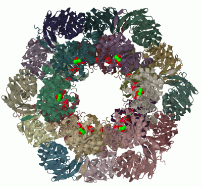 Image Biol.Unit 1 - manually