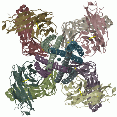 Image Biol.Unit 1 - manually