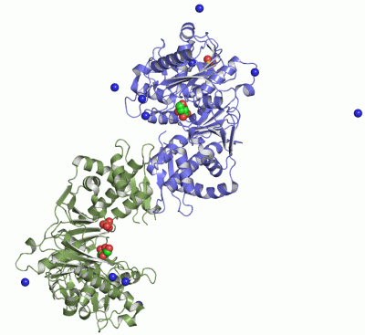 Image Asym./Biol. Unit - manually