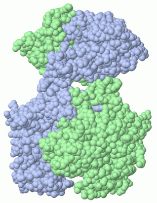 Image Asym./Biol. Unit - manually