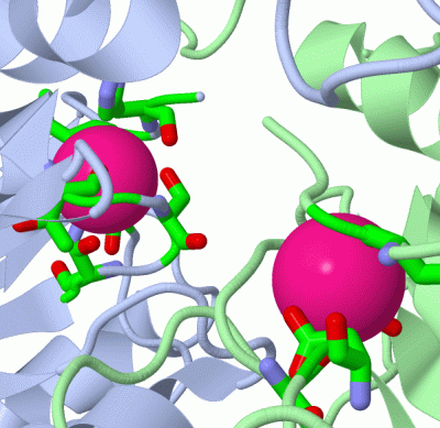 Image Asym./Biol. Unit - manually