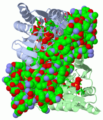 Image Asym./Biol. Unit - manually