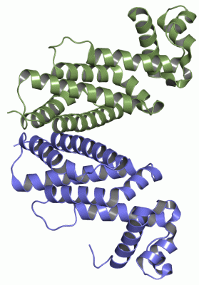 Image Asym./Biol. Unit - manually