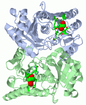 Image Asym./Biol. Unit - manually