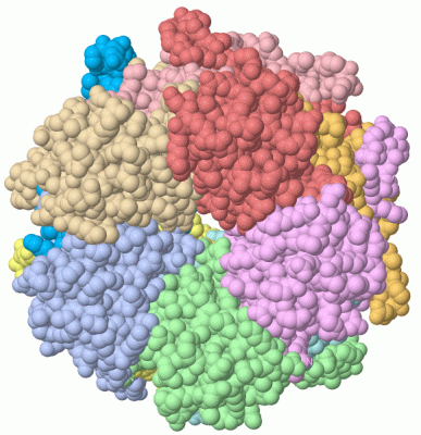 Image Asym./Biol. Unit - manually