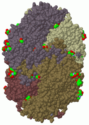 Image Biol.Unit 1 - manually