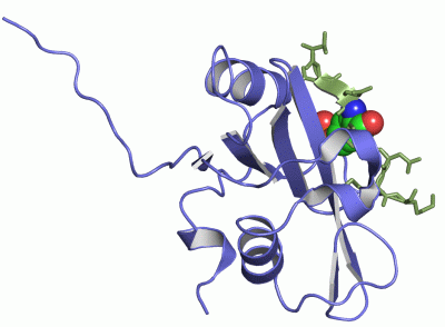 Image Asym./Biol. Unit - manually