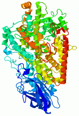 Image Asym./Biol. Unit - manually