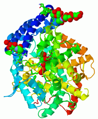 Image Asym./Biol. Unit - manually