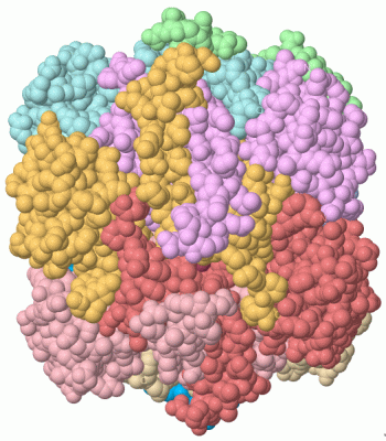 Image Asym./Biol. Unit - manually