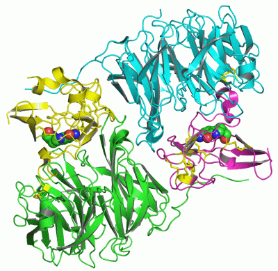 Image Asym./Biol. Unit - manually