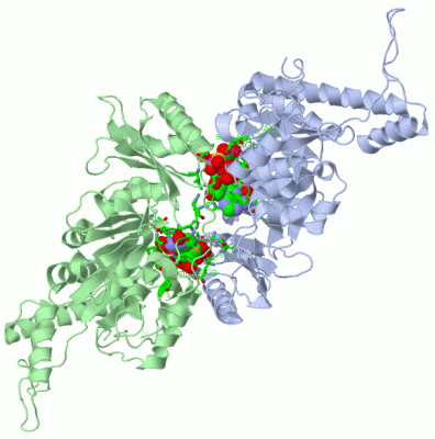 Image Asym./Biol. Unit - manually