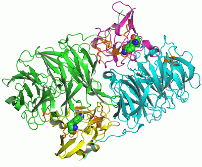 Image Asym./Biol. Unit - manually