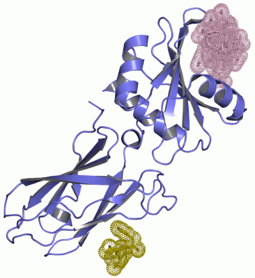 Image Asym./Biol. Unit - manually