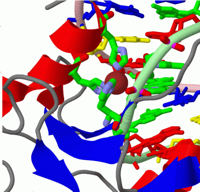 Image Asym./Biol. Unit - manually