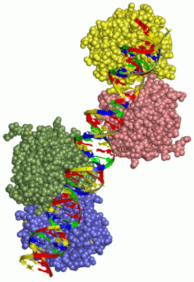 Image Asym./Biol. Unit - manually