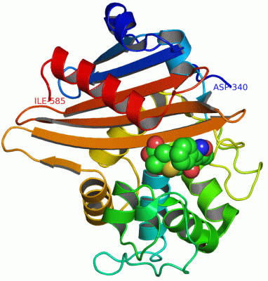 Image Asym./Biol. Unit - manually