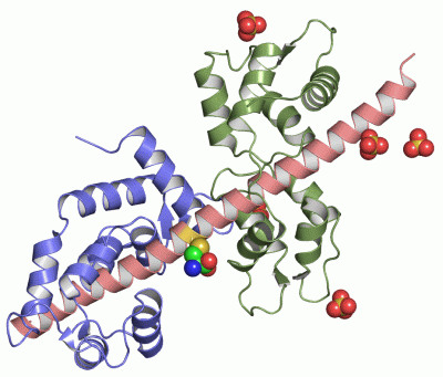 Image Asym./Biol. Unit - manually