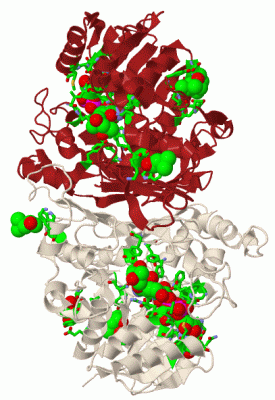 Image Biol.Unit 1 - manually