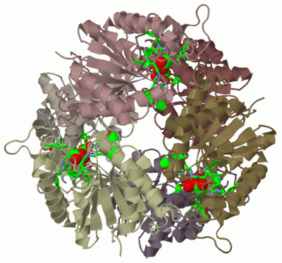 Image Biol.Unit 1 - manually