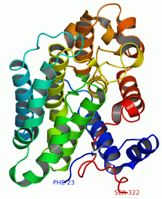 Image Asym./Biol. Unit - manually