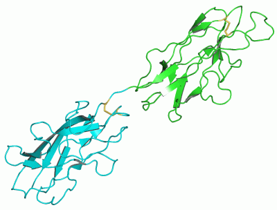 Image NMR Structure - manually