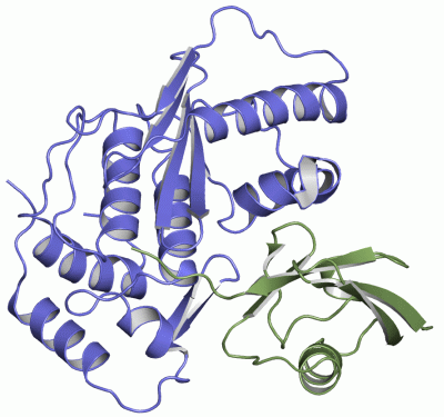 Image Asym./Biol. Unit - manually