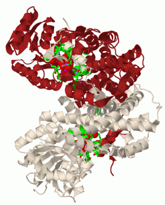 Image Biol.Unit 1 - manually