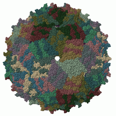 Image Biol.Unit 1 - manually