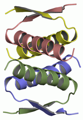 Image NMR Structure - manually