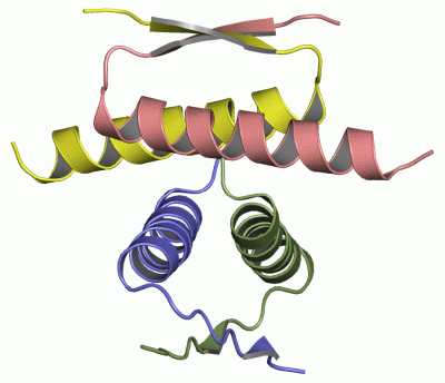 Image NMR Structure - manually