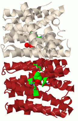 Image Biol.Unit 1 - manually