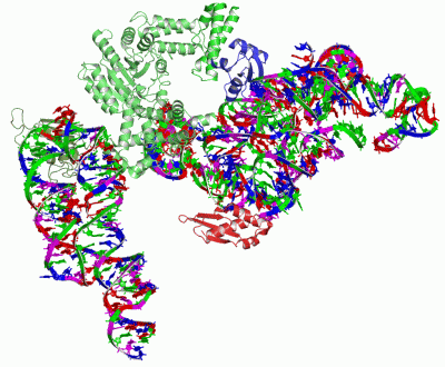 Image Asym./Biol. Unit - manually