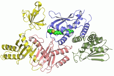 Image Asym./Biol. Unit - manually