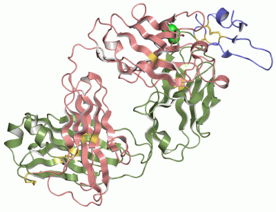 Image Asym./Biol. Unit - manually