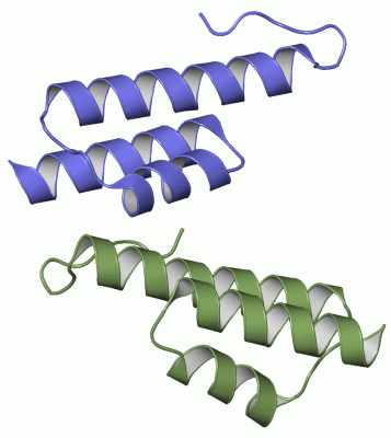 Image Asym.Unit - manually