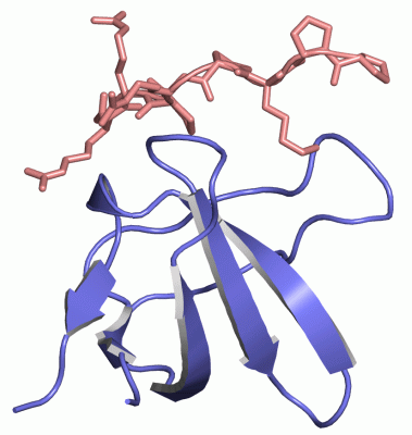 Image Asym./Biol. Unit - manually