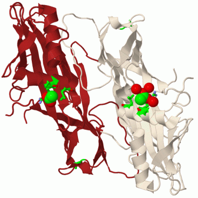 Image Biol.Unit 1 - manually