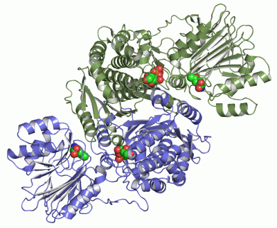 Image Asym./Biol. Unit - manually