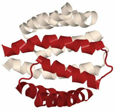 Image Biol.Unit 1 - manually