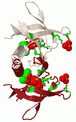 Image Biol.Unit 1 - manually