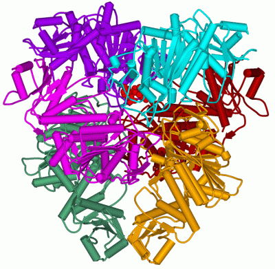 Image Biol.Unit 1 - manually