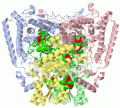 Image Asym./Biol. Unit - manually