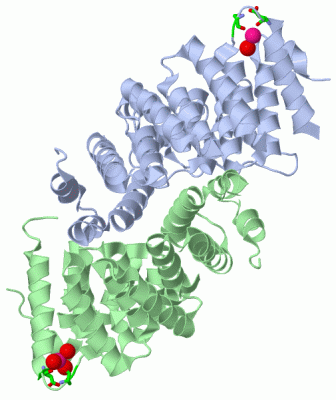 Image Asym./Biol. Unit - manually