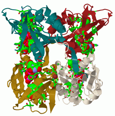 Image Biol.Unit 1 - manually