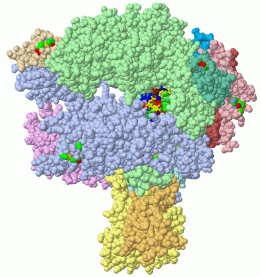 Image Asym./Biol. Unit - manually