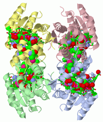 Image Asym./Biol. Unit - manually